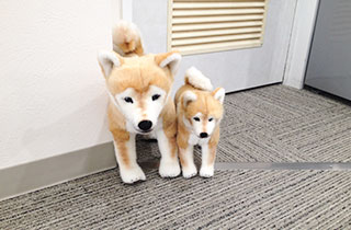 犬のぬいぐるみ