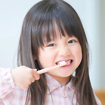 qǂ̎̂Y