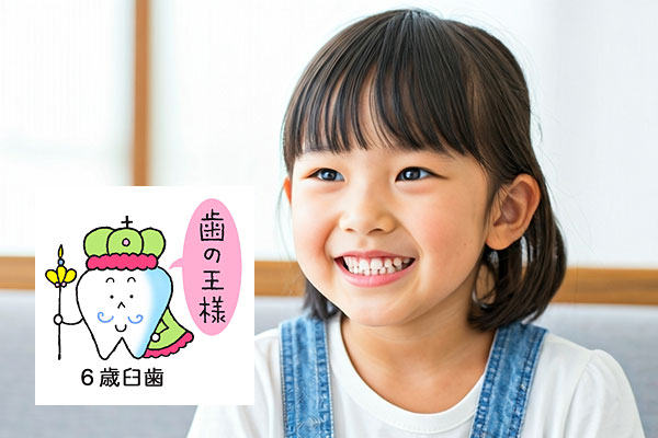 6歳臼歯について