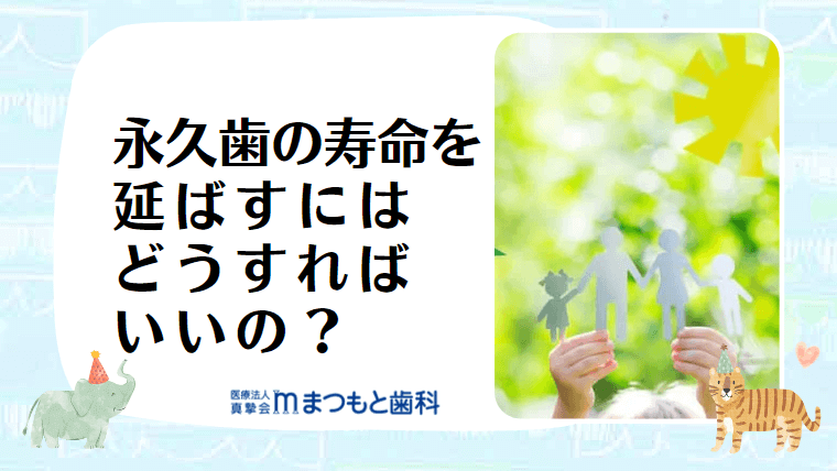 永久歯の寿命を延ばすにはどうすればいいの？