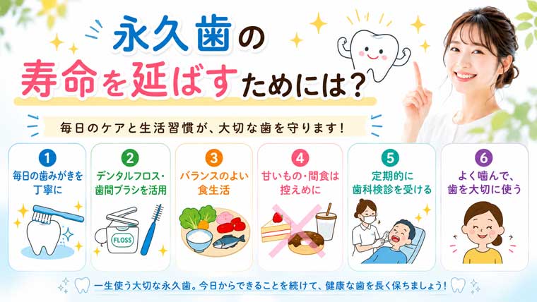 永久歯の寿命を延ばすためには？の図解