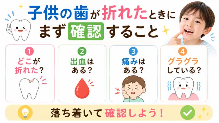 子供の歯が折れたときにまず確認することの図解