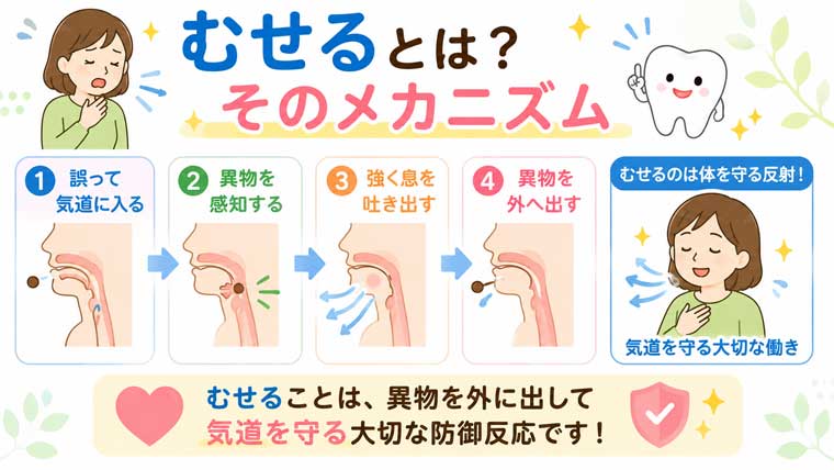 むせるとは？そのメカニズムの図解
