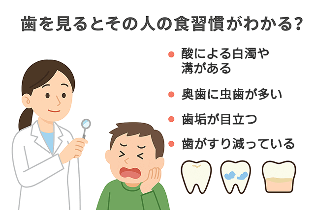 歯を見ると食習慣がわかる