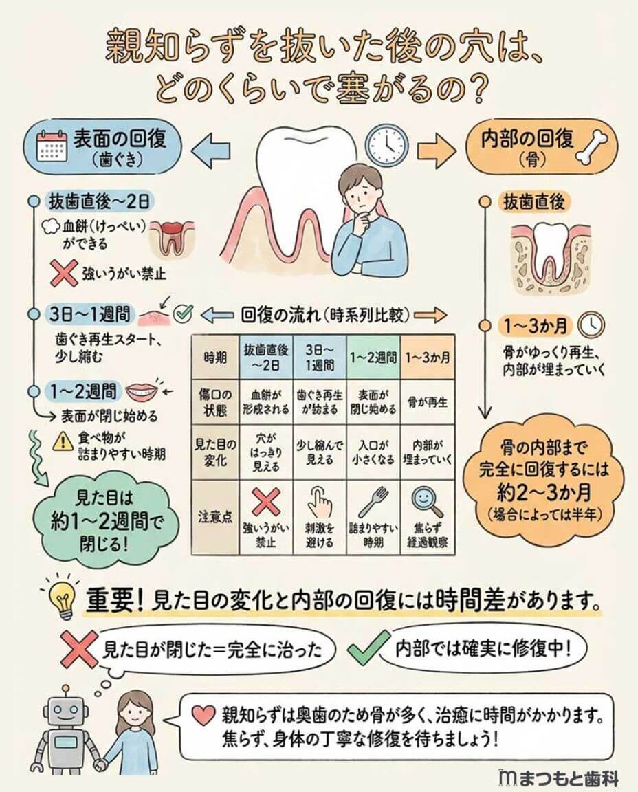 親知らずを抜いた後の穴は、どのくらいで塞がるの？