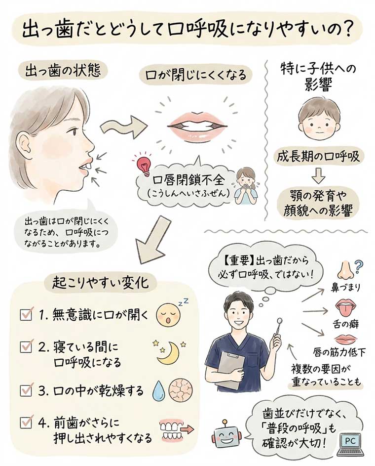 出っ歯だとどうして口呼吸になりやすいの？の図解