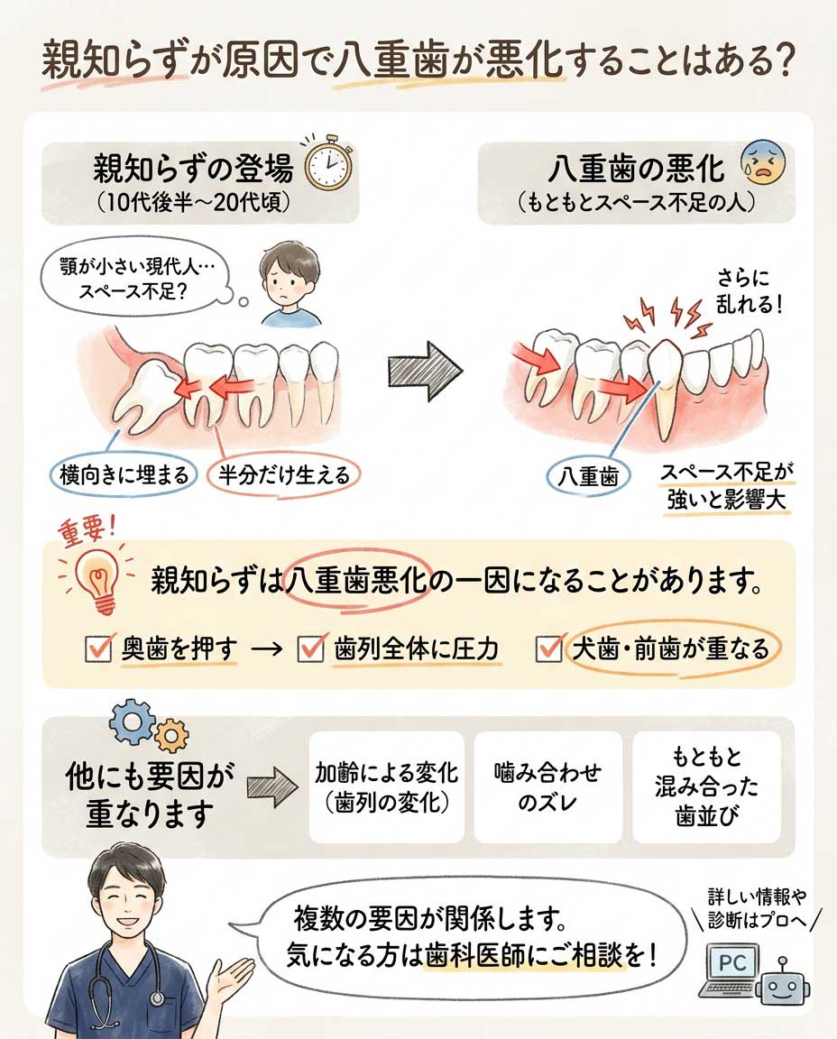 親知らずが原因で八重歯が悪化することはある？の図解
